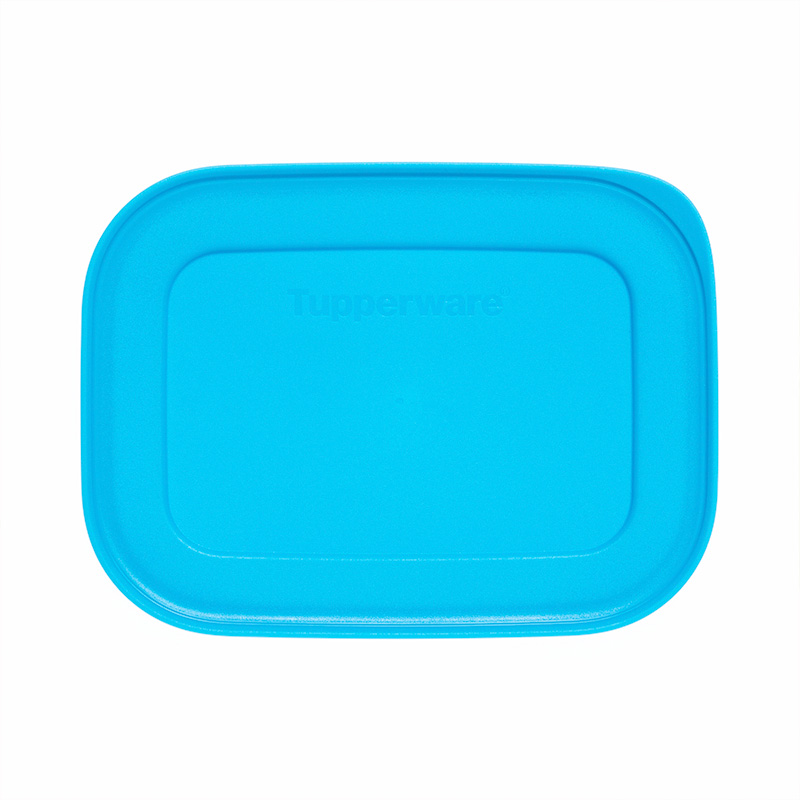 Tupperware Losse Deksel voor Igloo Diepvriesbakje 450 ml