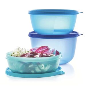 Tupperware Ruimtekommen set groot