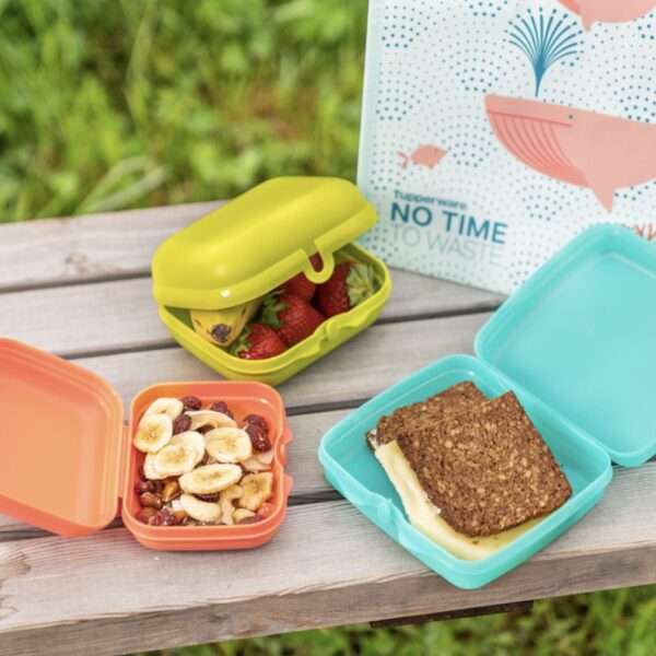 Sladoos Tupperware Tupperware Eco Snackdoos Medium zalm/oranje - Lastore Tupperware