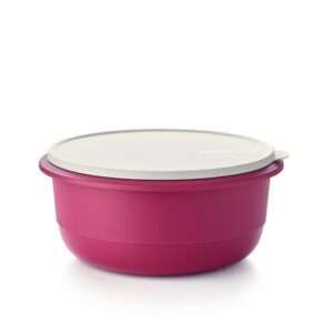 tupperware_ww_st_2007_0473