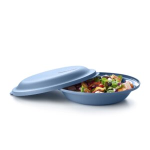 Tupperware Aloha Dubbel Bord