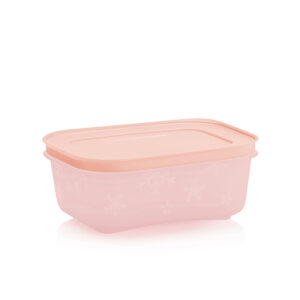 Tupperware Diepvriesbakje 450 ml klein bakje vriezer zalmroze diepvriesdoosje