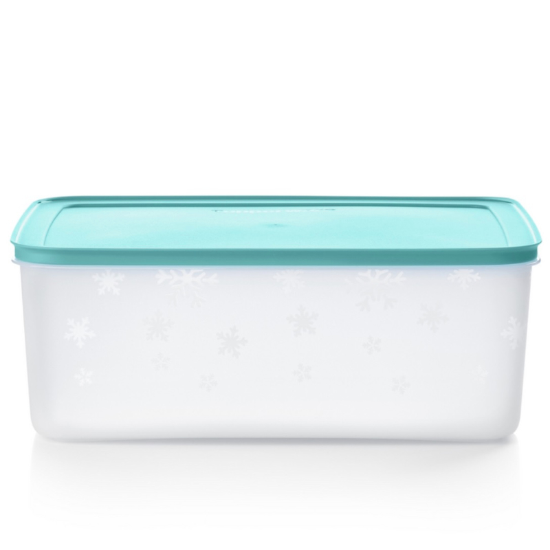 Tupperware Igloo Doos 5,7 l Grote Diepvriesdoos Diepvries bewaarbak